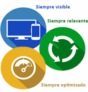 Management of Search Engine Marketing w. Google AdWords